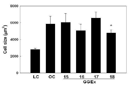 Size of adipocytes in white adipose tissue of genetically obese ob/ob mice.