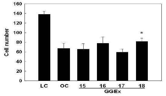 Number of adipocytes in white adipose tissue of genetically obese ob/ob mice.
