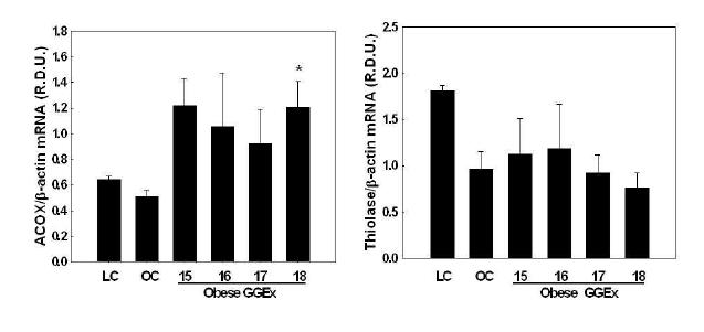 Modulation of liver peroxisomal PPARα target gene expression by GGEx in ob/ob mice.
