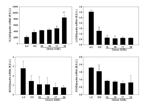 Modulation of liver mitochondrial PPARα target gene expression by GGEx in ob/ob mice.