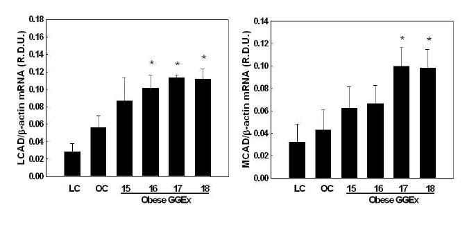 Modulation of muscle mitochondrial PPARα target gene expression by GGEx in ob/ob mice.