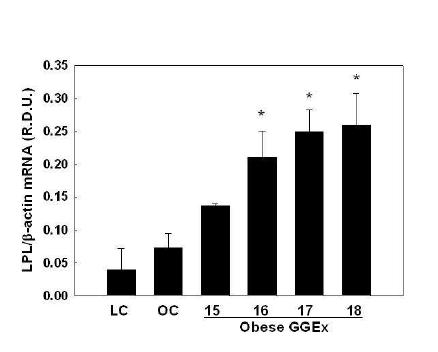 Modulation of muscle PPARβ target gene expression by GGEx in ob/ob mice.