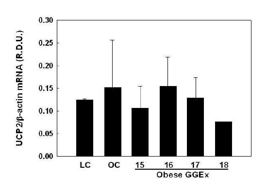 Modulation of liver UCP2 gene expression by GGEx in of ob/ob mice.