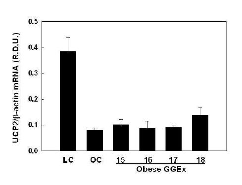 Modulation of adipose UCP2 gene expression by GGEx in of ob/ob mice.