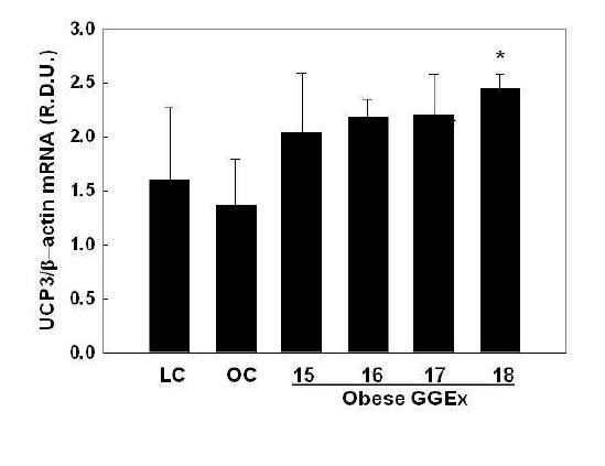 Modulation of muscle UCP3 gene expression by GGEx in of ob/ob mice.