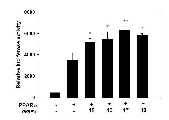 Regulation of PPARα reporter gene expression by GGEx in C2C12 muscle cells.