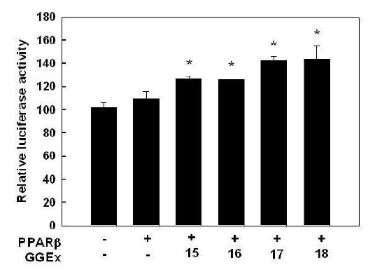 Regulation of PPARβ reporter gene expression by GGEx in 3T3-L1 preadipocytes.