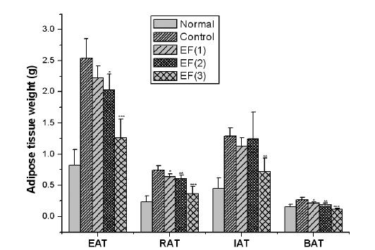 Adipose tissue weights in high fat diet-fed obese mice.