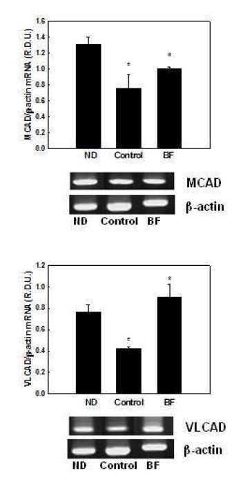 Effects of BF on mRNA expression of genes involved in mitochondrial fatty acid β-oxidation in differentiated 3T3-L1 cells.