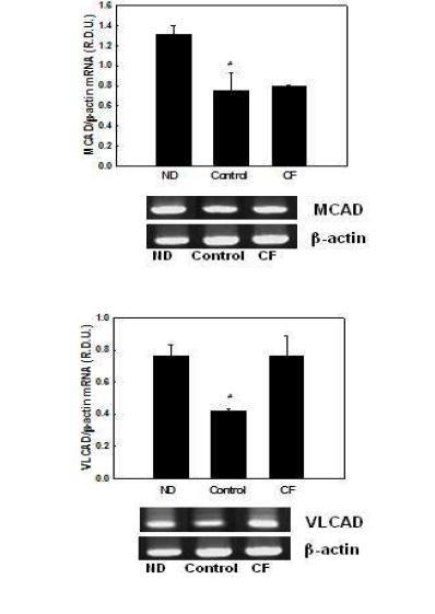 Effects of CF on mRNA expression of genes involved in mitochondrial fatty acid β-oxidation in differentiated 3T3-L1 cells.