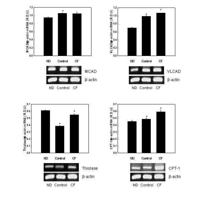 Effects of CF on mRNA expression of genes involved in fatty acid oxidation in C2C12 myotubes.