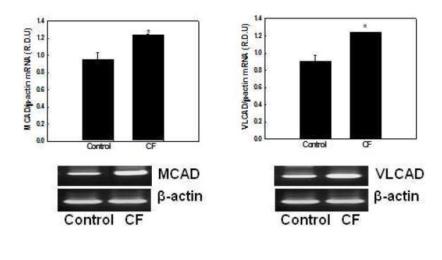Effects of CF on mRNA expression of genes involved in mitochondrial fatty acid β-oxidation in NMu2Li liver cells.