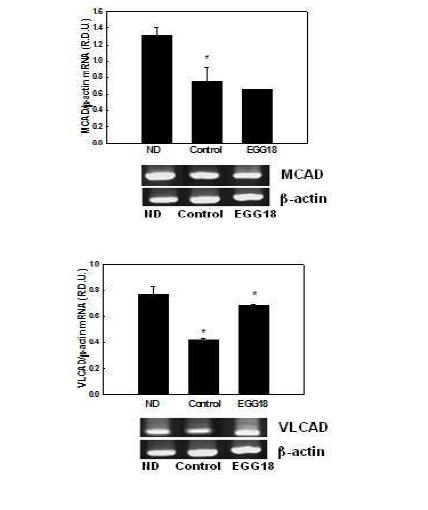 Effects of EGG18 on mRNA expression of genes involved in mitochondrial fatty acid β-oxidation in differentiated 3T3-L1 cells.