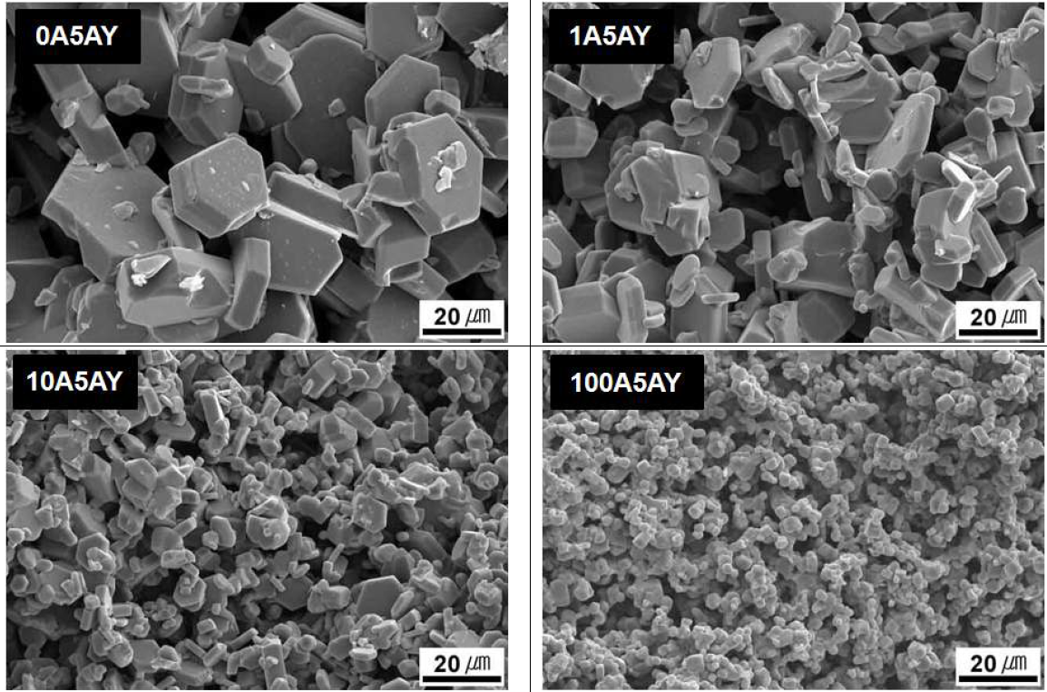 Effect of ratio in the starting composition on microstructure of the porous SiC ceramics sintered at 1950 for 4 hr in argon.