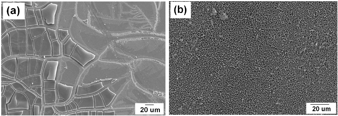 Low magnified surface views of SEM image of the etched wafers. Micrographs (a) and (b) were obtained from samples etched in the etchant with IPA ratios of 5 and 66%.