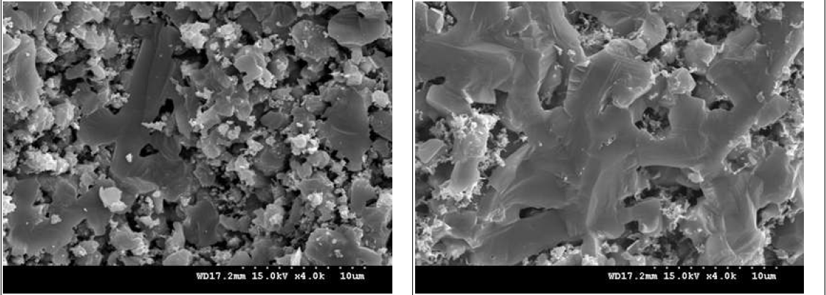 Typical microstructures of the Fe-doped SiC ceramics sintered at 1850oC for 1h: (a) 1% Fe and (b) 4% Fe.