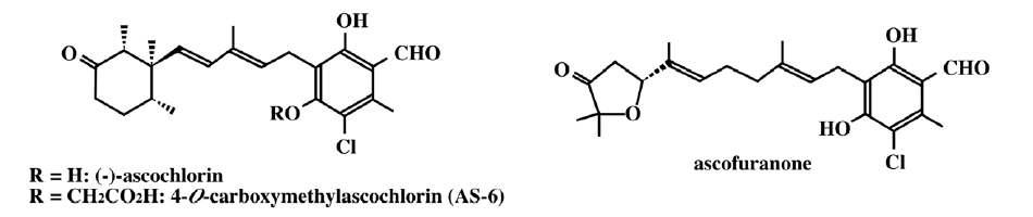 ascochlorin과 그 유도체들의 구조