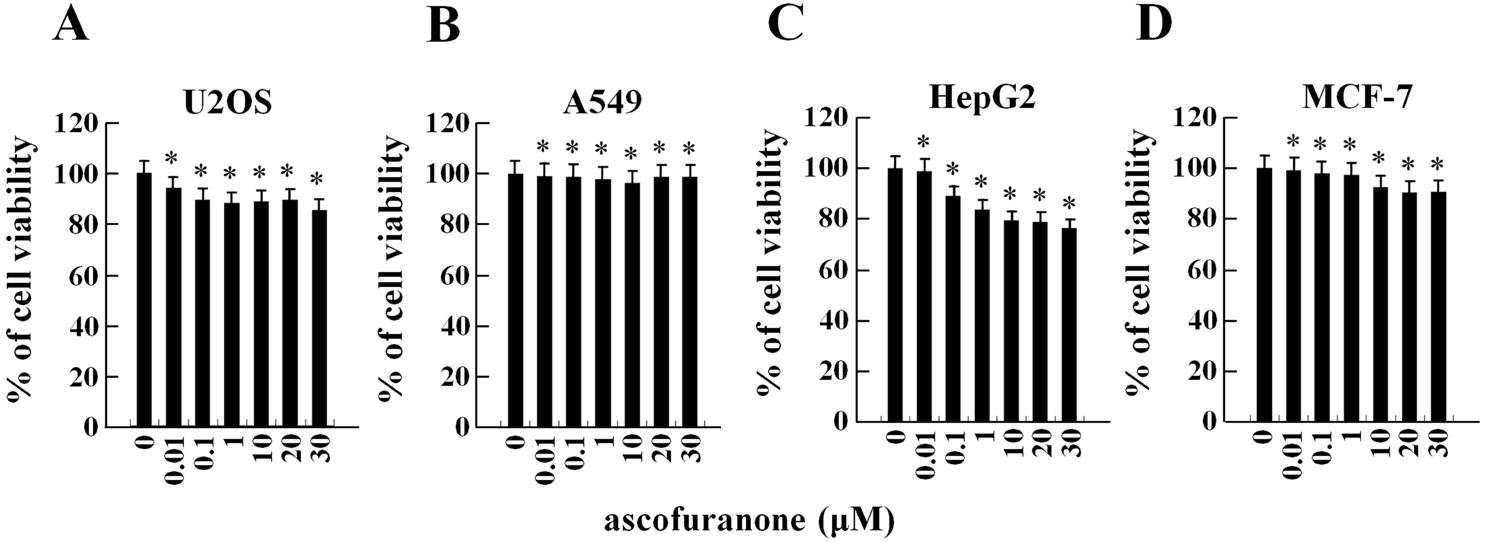 ascofuranone에 의한 암세포의 세포생존률 측정