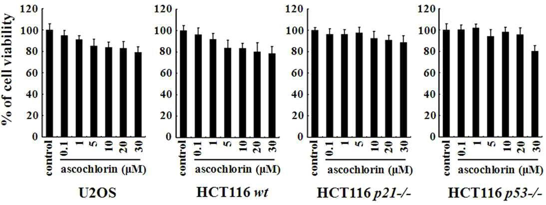 ascochlorin에 의한 암세포의 세포생존률 측정
