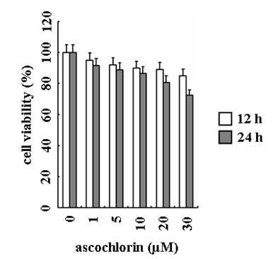 ascochlorin에 의한 CaSki 세포의 세포생존률 측정