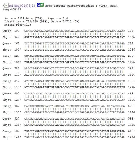 The DNA sequence of a gene cloned by Two-Hybrid System.