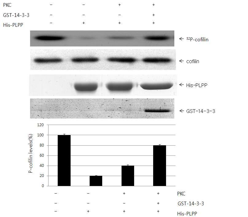 14-3-3 regulates PLPP activity.