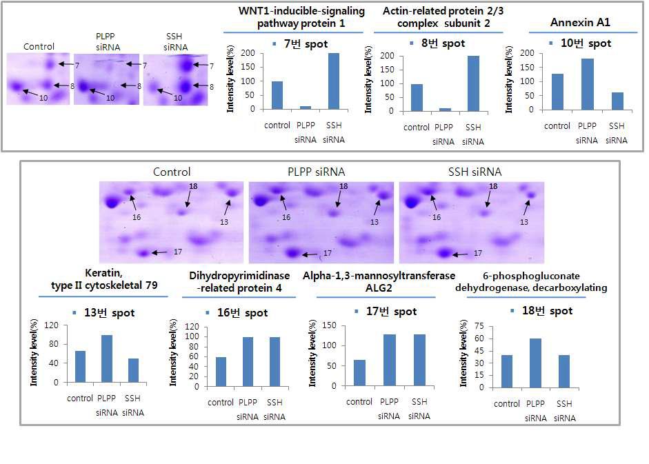 Differentially expressed proteins