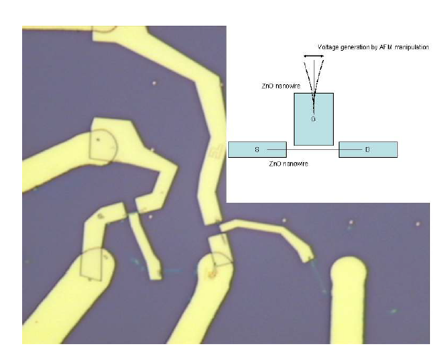 나노선을 이용한 voltage generator가 포함된 ZnO-FET 소자의 개념도와 나노제작공정을 통해 구현된 소자의 현미경 사진