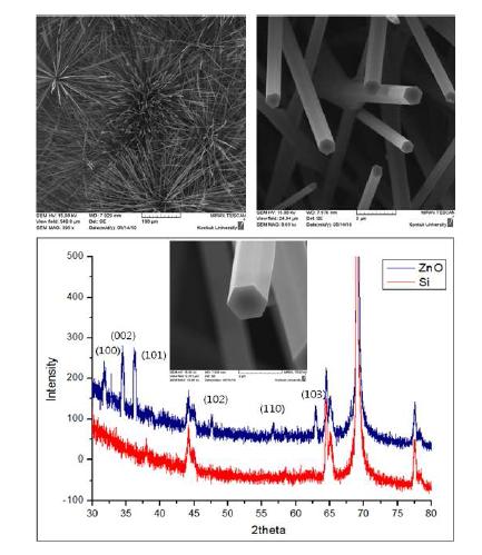 본 전기역학 시스템 및 나노 발전 소자 제작에 맞게 합성된 ZnO 구조의 전자현미경 사진과 이 샘플의 XRD 측정결과