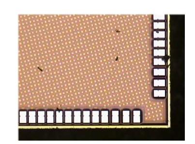 최종 버전의 CMOS chip