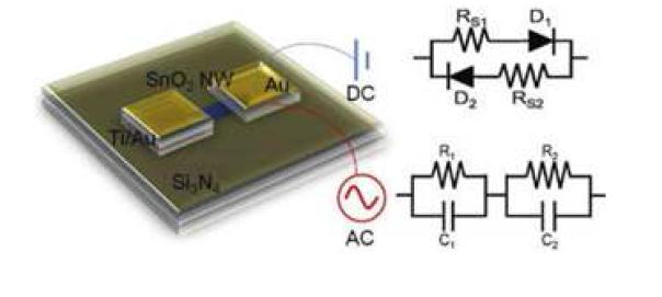 SnO2 나노선에 대한 AC 계측 모델