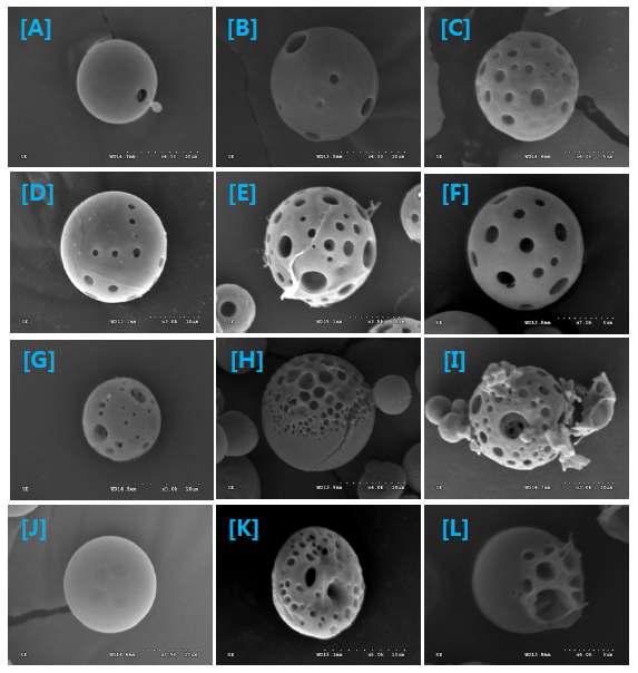 Gelatin을 porogen으로 사용하여 만든 다공성 마이크로입자의 주사현미경사진