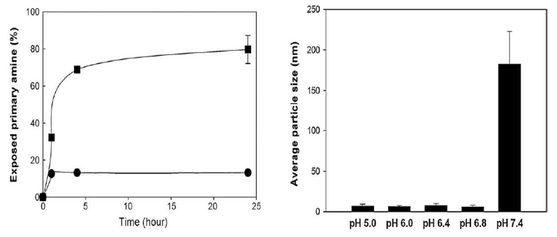pH 7.4 (●)와 pH 6.8 (■)에서 합성한 GCD 노출되는 1차 아민 및 GCD 나노복합체의 입자 크기