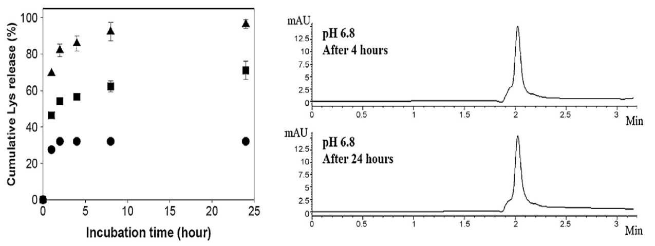 pH 7.4 (●), pH 6.8 (■), pH 6.0 (▲)에서 Lys이 봉입된 복합체로부터 Lys의 누적 방출량 복합체로부터 방출된 Lys의 HPLC 분석