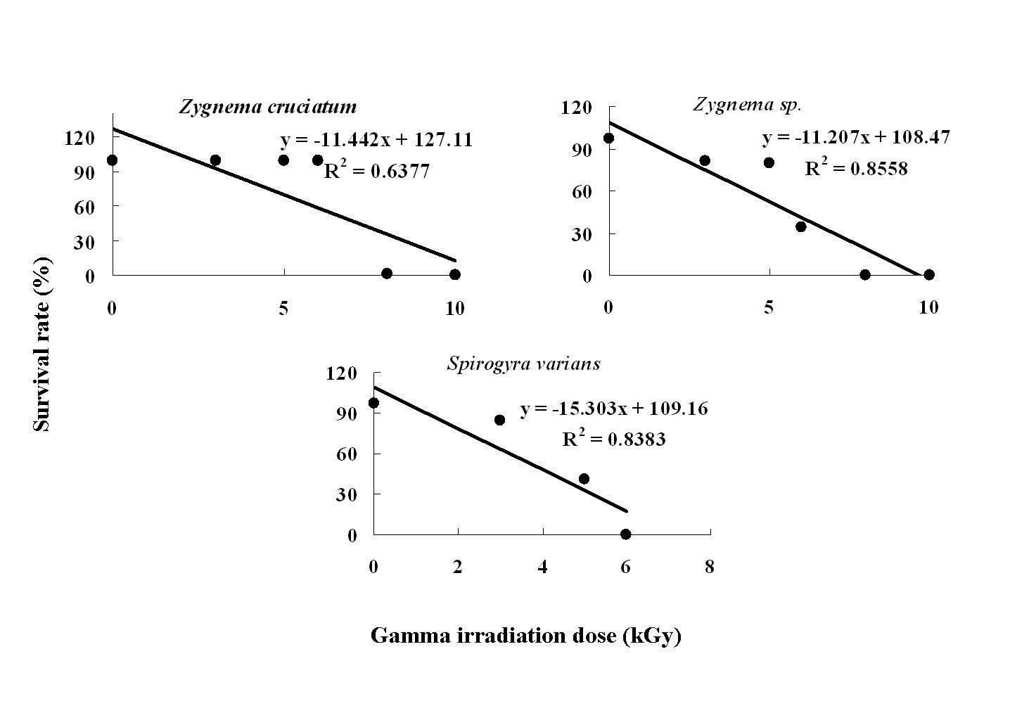 녹조 별해캄과 식물의 FDA 염색. (A) FDA 염색 (B) 별해캄과 식물의 방사선 저항성