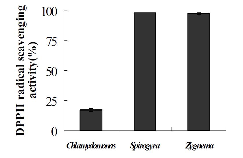 종별 EtOH추출물에 대한 항산화 능력 평가