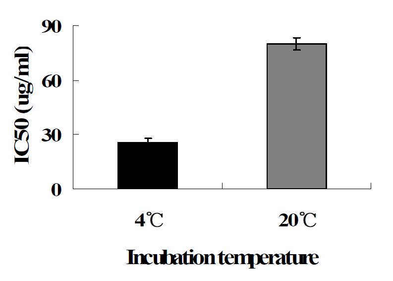 배양온도 따른 DPPH radical scavenging activity