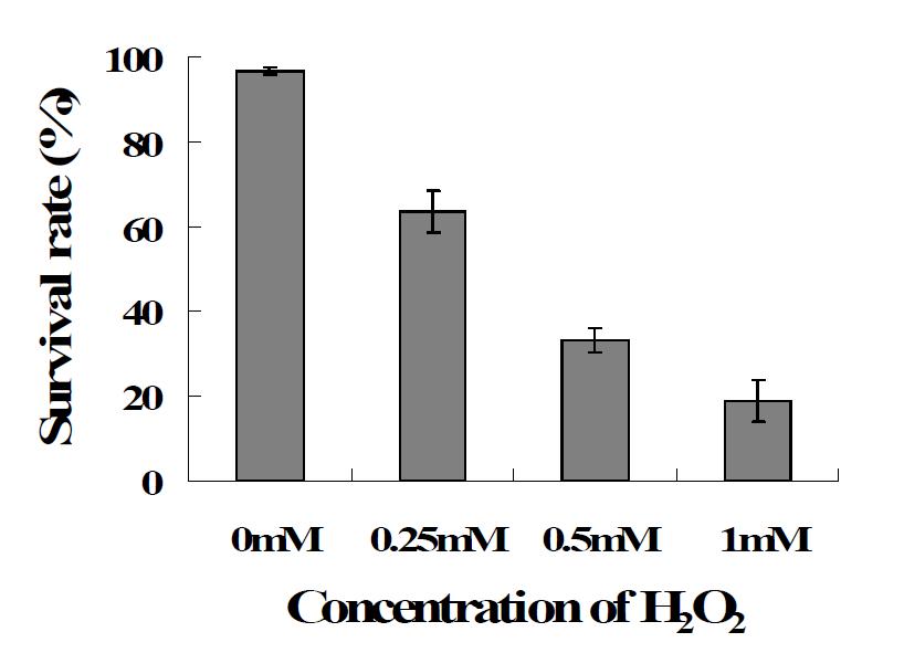다양한 농도의 H2O2가 처리된 Spirogyra varians의 생존율