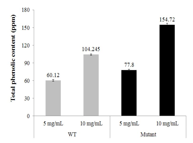 해캄 wild-type과 돌연변이의 total phenolic content 비교