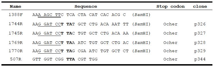 List of primers used in study of celA gene of Pcc LY34