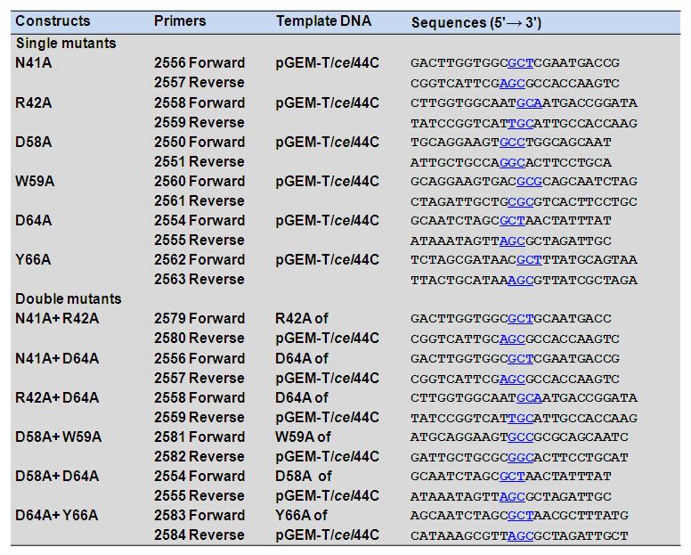 Primers used for mutagenesis of pGEM-T/cel44C