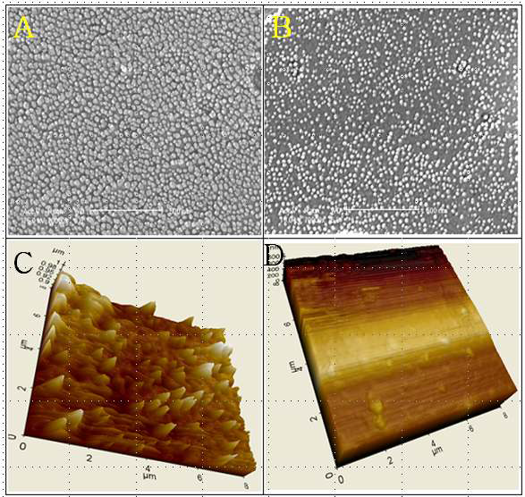 Scanning electron microscope (SEM, 70,000X) and atomic force microscope (AFM) for CMC