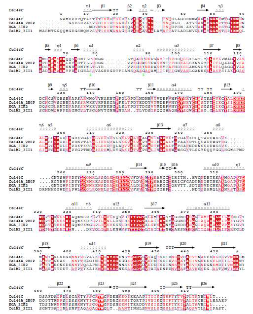 Alignment of Cel44C, Cel44A (pdb id 2e4t), CelM2 (3ii6). and relative Cel44A protein (3ik2).