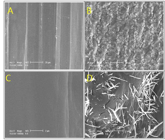 SEM of barley leaf after chemical treatment on the dried leaf in 1,000X and 10,000X.