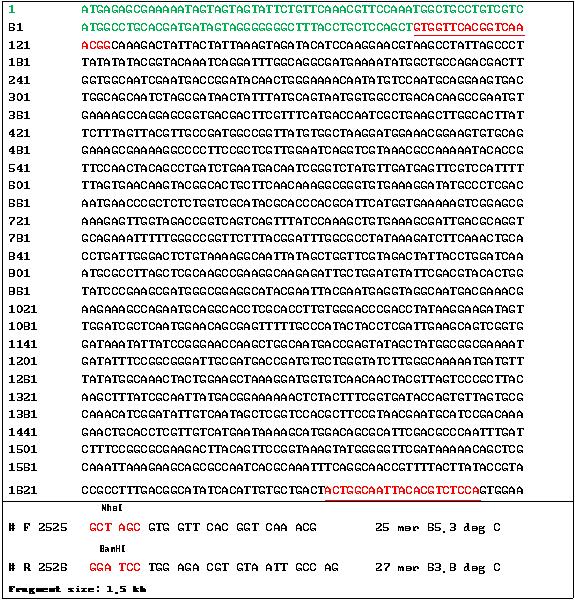 DNA sequence of cel44 (Endoglucanase) gene and its primer design for cloning