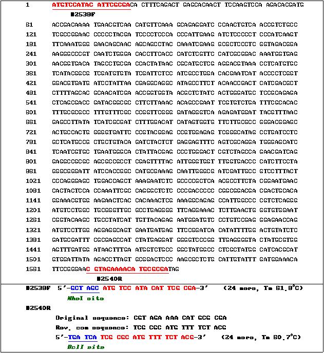 DNA sequence of bgl (β-glucosidase) gene and it's primer design for cloning.