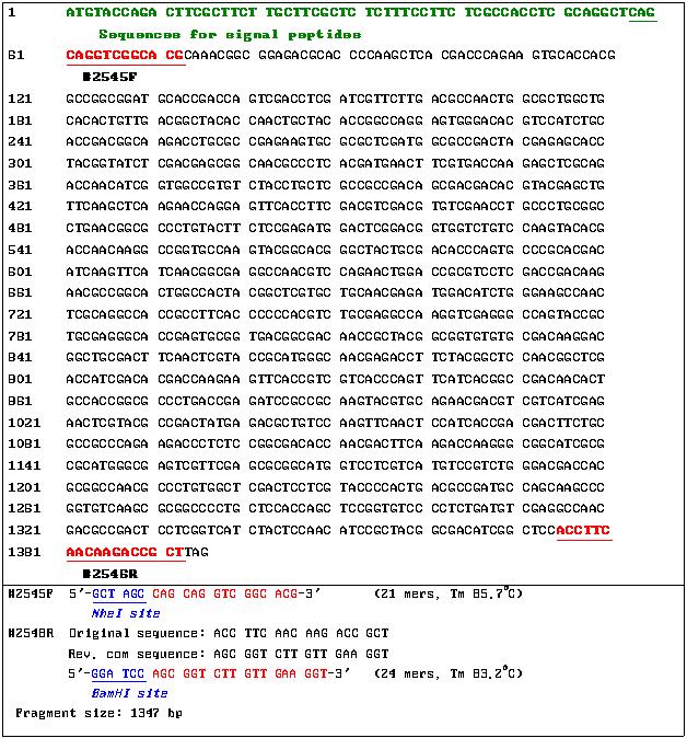 DNA sequence of cbh (cellobiohydrolase) gene and it's primer design for cloning