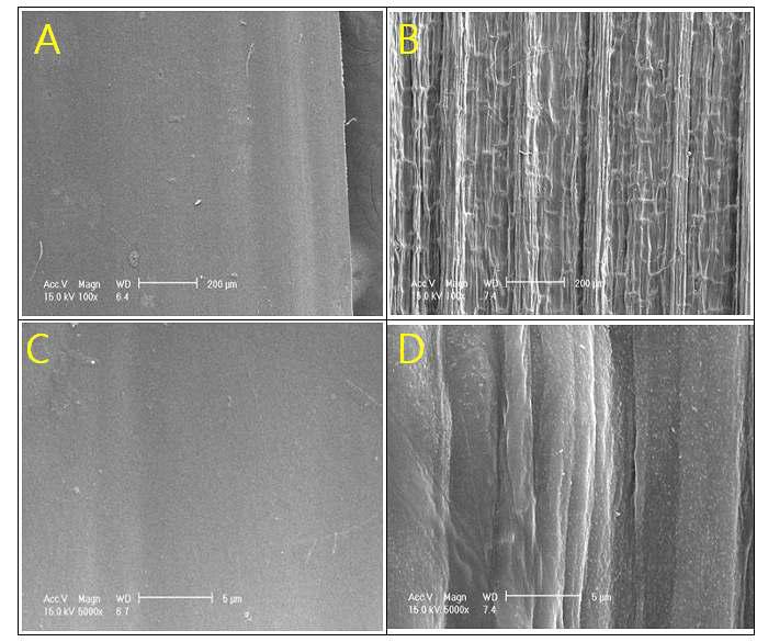 SEM of inner side stem of barley straw after chemical treatment.