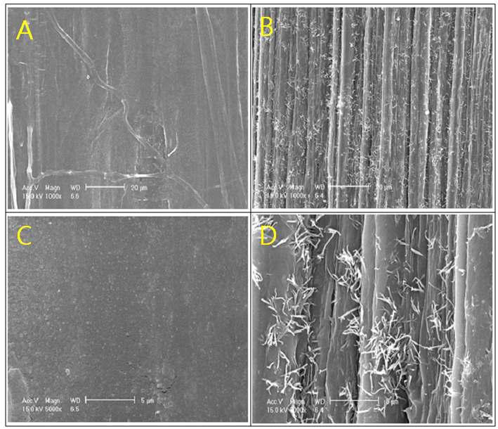 SEM of outer side stem of barley straw after chemical treatment.