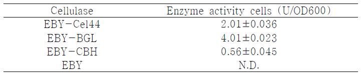 Enzyme activity of surface-displayed yeast